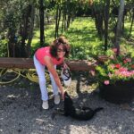 Full Day Private Tour in Pompeii, Vesuvio and Sorrento - Who Should Consider This Tour