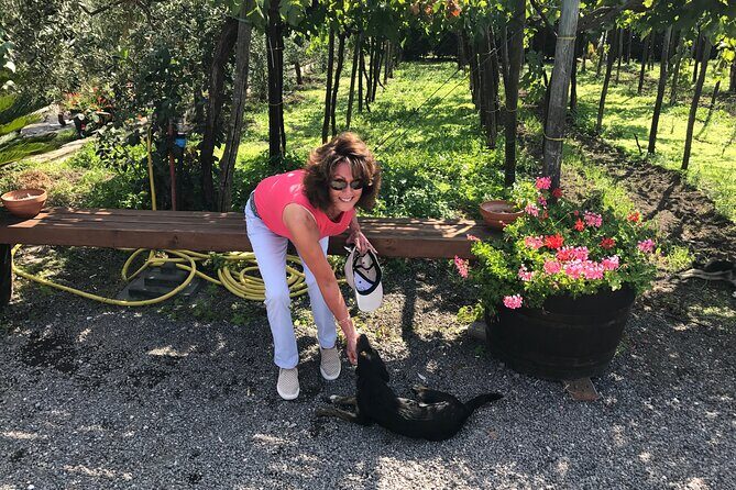 Full Day Private Tour in Pompeii, Vesuvio and Sorrento - Who Should Consider This Tour