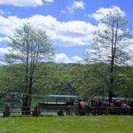 Full-Day Private Tour of Plitvice Lakes National Park from Zadar - The Itinerary Breakdown