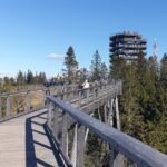 Full-Day Private Tour of Slovakia Treetop Walk and Zakopane - What makes this tour stand out?