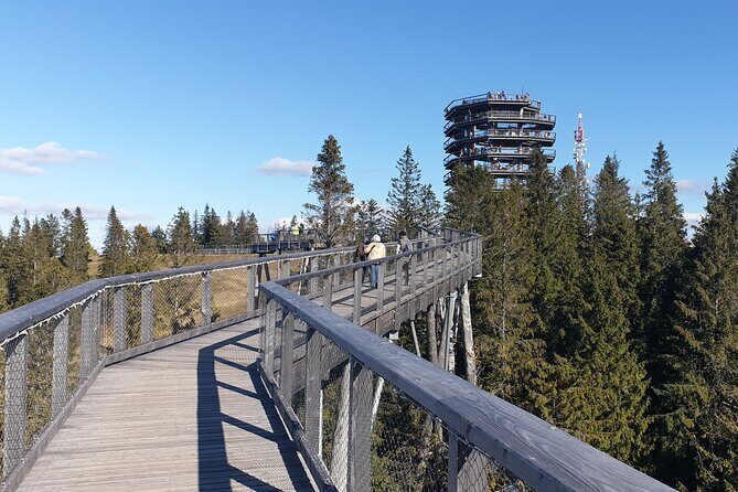 Full-Day Private Tour of Slovakia Treetop Walk and Zakopane - What makes this tour stand out?
