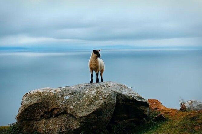 Full Day Private Tour to Ireland - The Sum Up