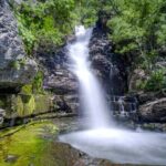 Full Day Private Tour to Khosrov Forest State Reserve - Exploring the Full Day Private Tour to Khosrov Forest State Reserve