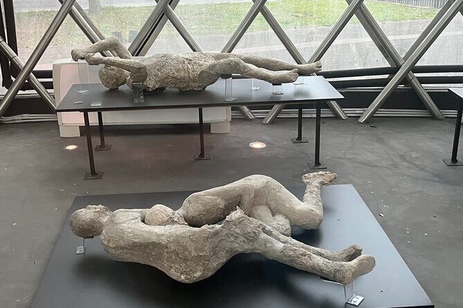 Full Day Private Tour to Pompeii, Herculaneum and Oplontis - Frequently Asked Questions