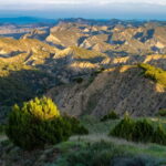 Full-day Private Wilderness tour in Vashlovani National Park - Who Should Consider This Tour?