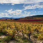 Full-Day Private Wine Tasting Tour in La Rioja with lunch - Exploring the Itinerary: What to Expect at Each Stop