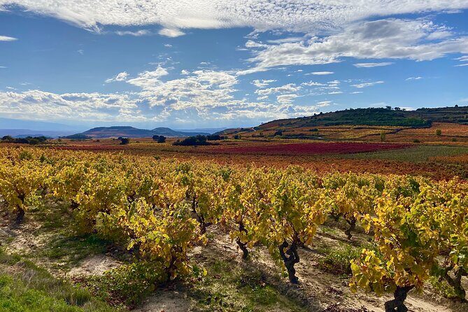 Full-Day Private Wine Tasting Tour in La Rioja with lunch - Exploring the Itinerary: What to Expect at Each Stop