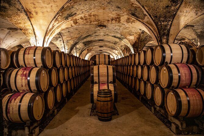 Full-Day Private Wine Tour in Côte de Beaune - The Itinerary in Detail
