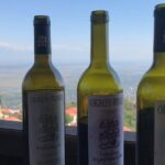 Full Day Private Wine Tour in Kakheti Region with Lunch and 3 Wine Tastings - Who Will Love This Tour?
