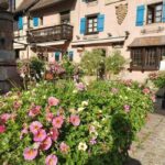 Full Day Safari Tour Villages & Vineyards Wine tasting - An In-Depth Look at the Itinerary and Experience