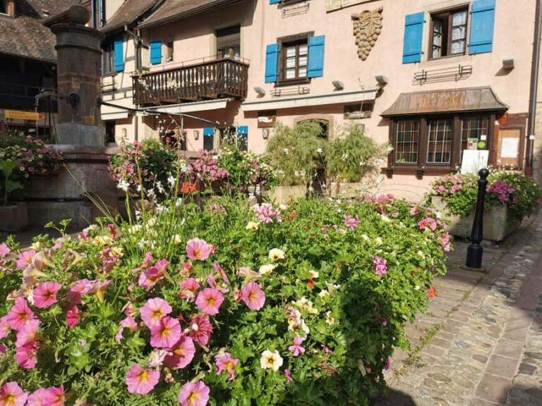 Full Day Safari Tour Villages & Vineyards Wine tasting - An In-Depth Look at the Itinerary and Experience