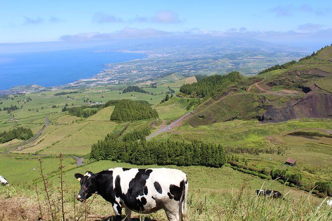 Full Day Sete Cidades and Lagoa do Fogo PRIVATE 4WD Tour with Lunch - Practical Tips for Your Day