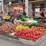 Full Day Shared Guided Tour in Setúbal - The Journey: An In-Depth Look at the Full Day in Setúbal