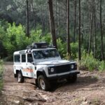 Full-Day Sintra Jeep Safari - Who Is This Tour Best For?