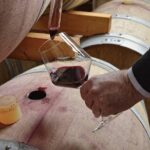 Full Day Small Group Pompeii Tour from Sorrento with Local Wine Tasting - The Sum Up