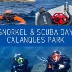 Full-Day Snorkeling and Guided Dive in the Calanques National Park from Marseille - What’s Included and What to Consider