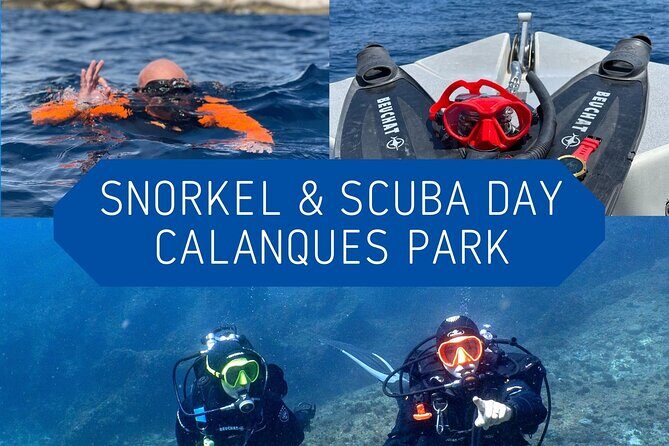 Full-Day Snorkeling and Guided Dive in the Calanques National Park from Marseille - What’s Included and What to Consider