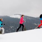 Full-Day Snowshoeing in High Tatras with Local Mountain Guide from Poprad - Who Should Book This Tour?