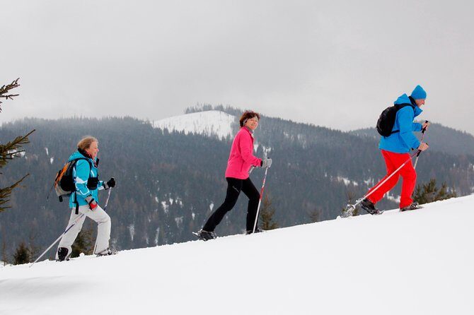 Full-Day Snowshoeing in High Tatras with Local Mountain Guide from Poprad - Who Should Book This Tour?