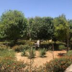 Full Day to Blue Grotto, Marsaxlokk, Kalanka Bay, Tarxien Temples - Authentic Insights from Travelers