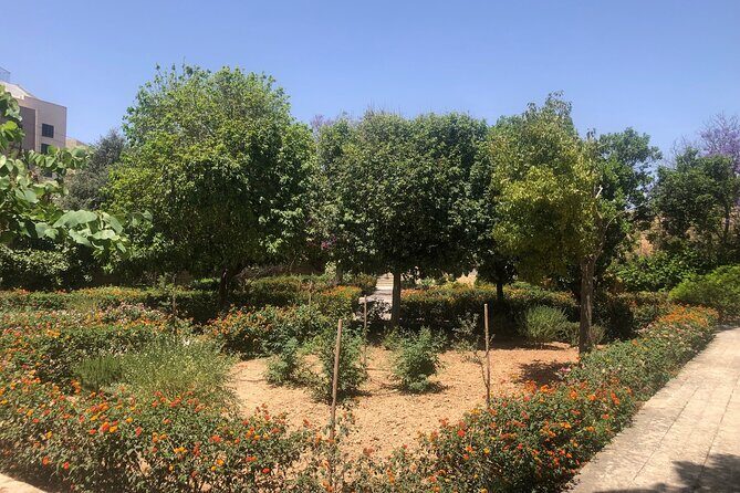 Full Day to Blue Grotto, Marsaxlokk, Kalanka Bay, Tarxien Temples - Authentic Insights from Travelers