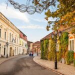Full-Day Tokaj UNESCO World Heritage Site Private Wine Tour - Who This Tour is Best For