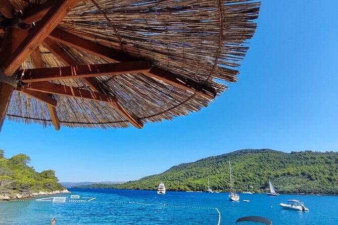 Full Day Tour Elafiti Island With Speedboat - A Thorough Look at the Elafiti Island Speedboat Tour