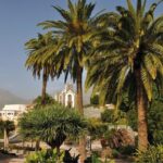 Full-Day Tour Exploring History, Nature and Aloe Vera Farm - Who Would Enjoy This Tour?