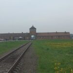 Full-Day Tour From Warsaw to Auschwitz (guided) and Krakow by car - Authentic Insights from Reviewers