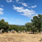 Full Day Tour in Évora from Lisbon - Is It Worth the Price?