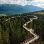 Full-Day Tour of Zakopane and Slovakia Treetop from Krakow - Authentic Experiences from Past Travelers