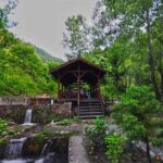 Full Day Tour Sapanca and Masukiye from Istanbul - Who Is This Tour Best For?