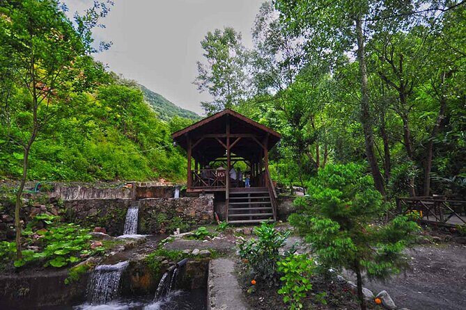 Full Day Tour Sapanca and Masukiye from Istanbul - Who Is This Tour Best For?