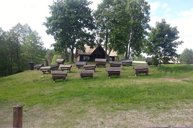 Full-Day Tour to Aukstaitija National Park from Vilnius - What Makes This Tour Stand Out