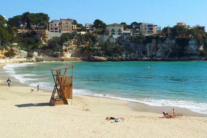 Full Day Tour to Caves of Drach and Hams with Porto Cristo and Pearl Factory - Transportation & Group Dynamics