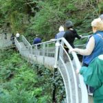 Full Day Tour To Kutaisi, Prometheus Caves, Bagrati and Gelati - Practical Details & What to Expect