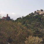 Full Day Tour to Sintra with Pena Palace and Quinta da Regaleira - Practical Details and Experience