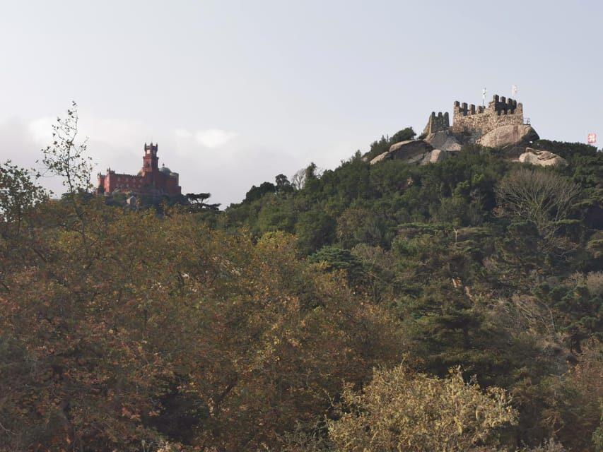 Full Day Tour to Sintra with Pena Palace and Quinta da Regaleira - Practical Details and Experience
