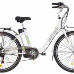 Full Day Venice E-Bike Rental - What to Expect From the Rental