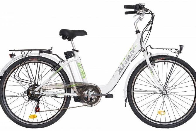 Full Day Venice E-Bike Rental - What to Expect From the Rental
