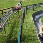 Full-Day Visegrád Cruise From Budapest - Practical Details and Traveler Tips