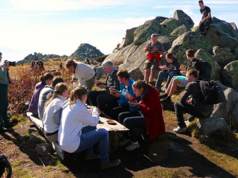 Full-Day Vitosha and Cherni Vruh Peak Hiking Tour - The Itinerary Breakdown