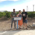 Full-Day Wine Excursion and Visit Goya Birthplace - Navigating the Day: A Closer Look at the Itinerary