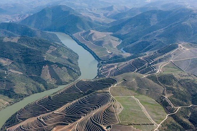 Full Day, Wine Tasting, River Cruise and Lunch from Porto - The Experience: What It Means for You