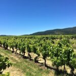 Full-Day Wine Tour around Luberon from Marseille - What Makes This Tour Stand Out?