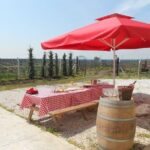 Full-Day Wine Tour from Istanbul - Practical Details and Considerations