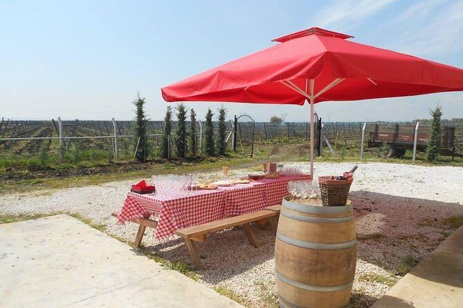 Full-Day Wine Tour from Istanbul - Practical Details and Considerations