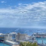 Full/Half day Barcelona highlights with entrances & Tasting - The Value of the Tour and Practical Considerations