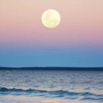 Full Moon Magic  2h Night Sailing in Sotogrande - Who Will Love This Experience?