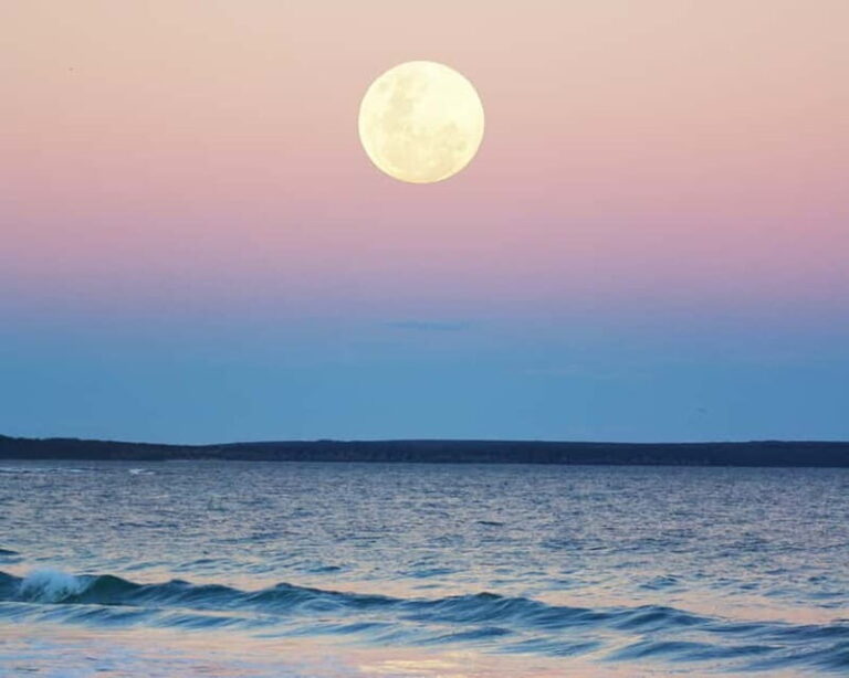 Full Moon Magic  2h Night Sailing in Sotogrande - Who Will Love This Experience?